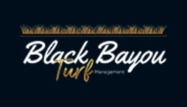 Black Bayou 